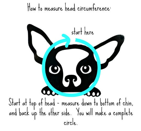 Pet Sombrero, Birthday Hat, Party Hat, Dog Party Hat, Any Number Party Hat, Pet Party Hat, Pet Party, Little Blue Olive