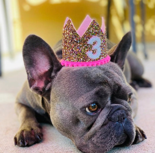 Dog Birthday Crown, Pet Birthday Hat, Dog Birthday Crown, Pet Birthday, Dog Birthday Party