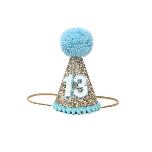 Pet Party Hat, Dog Birthday Party Hat, Birthday Hat, Dog Birthday Party Hat, Pet Party,  Little Blue Olive