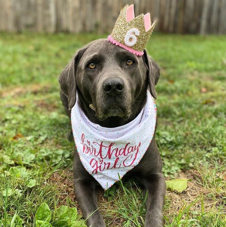 Pale gold, Hot Pink and Pink Crown