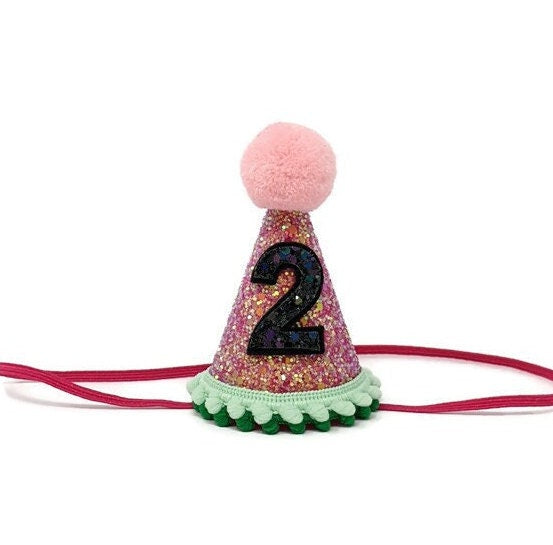 Watermelon Party Hat