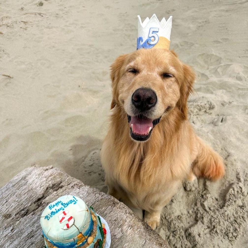 Beach Crown