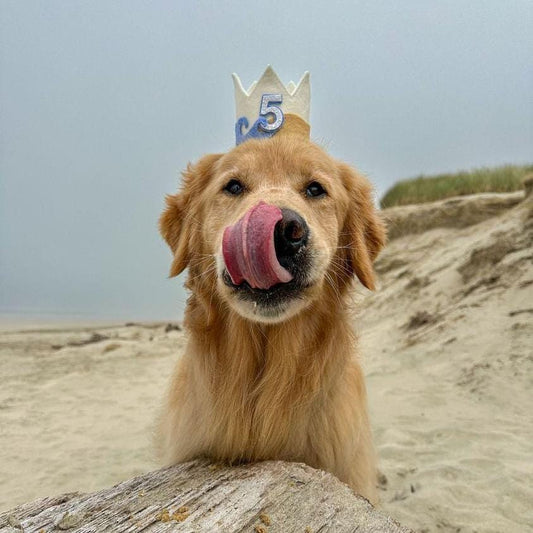 Beach Crown