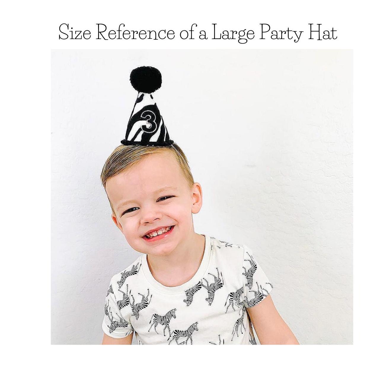 Sock Monkey Birthday, Sock Monkey Birthday Hat, Cake Smash, Sock Monkey Theme Birthday Party Hat