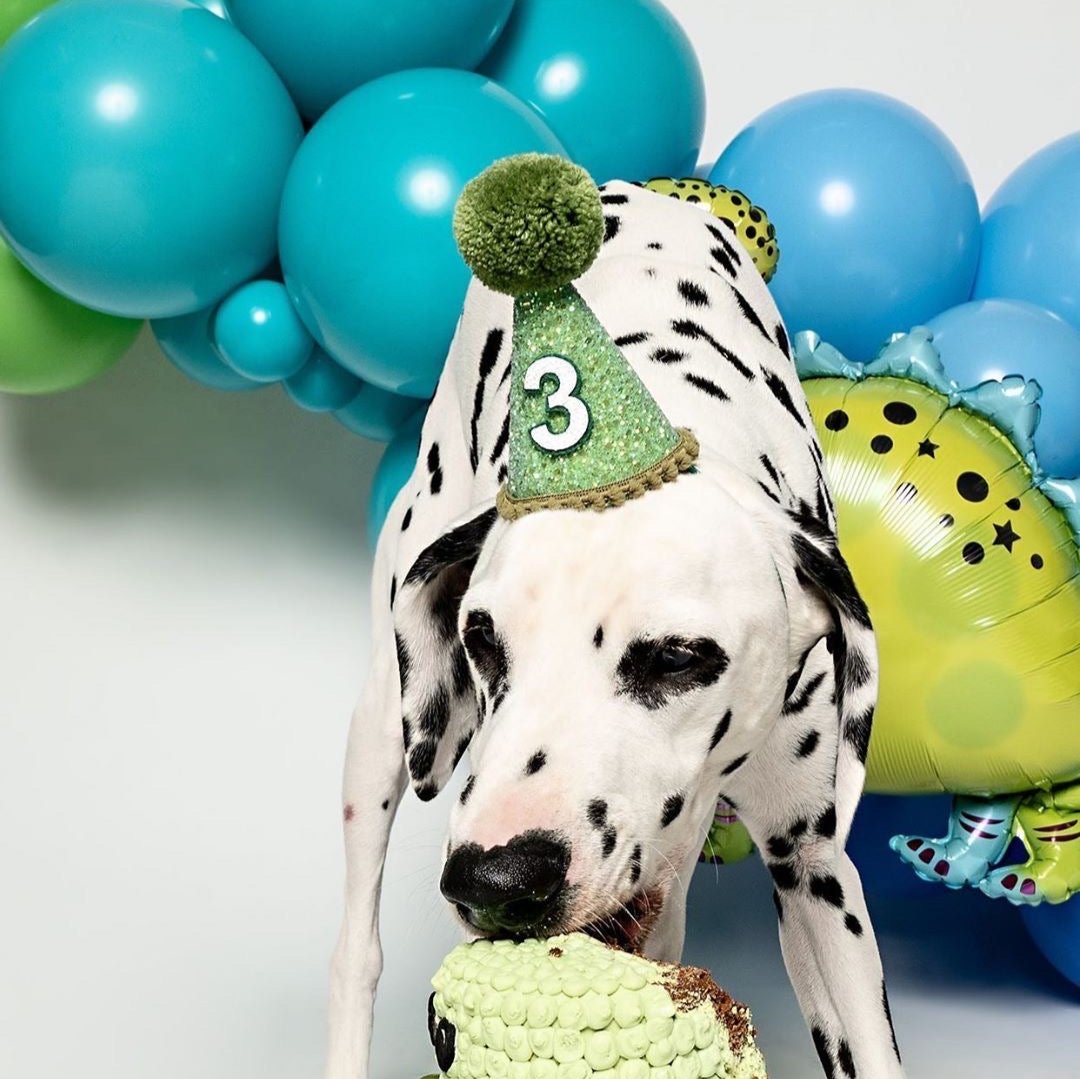 Green Glitter Party Hat