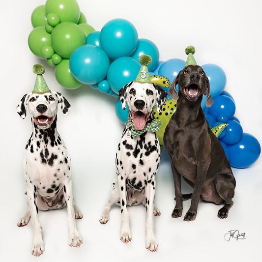 Green Glitter Party Hat