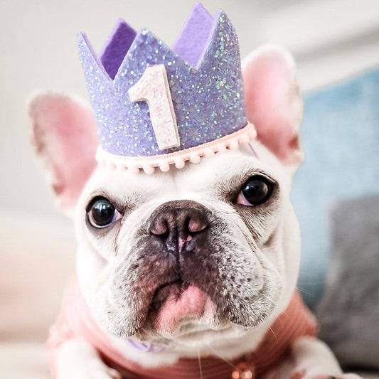 Lavender Glitter Crown