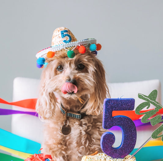 Sombrero Party Hat with pom trim