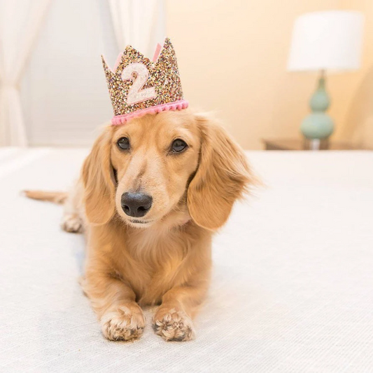 Confetti and Pink Crown