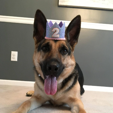 Lavender Glitter Crown