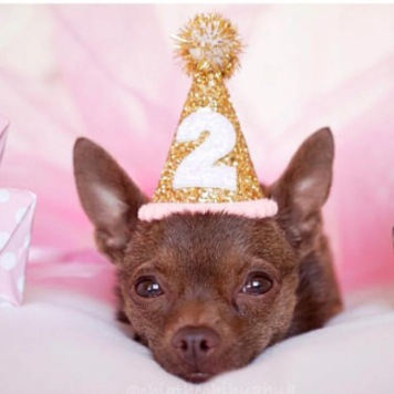 Gold Glitter Party Hat