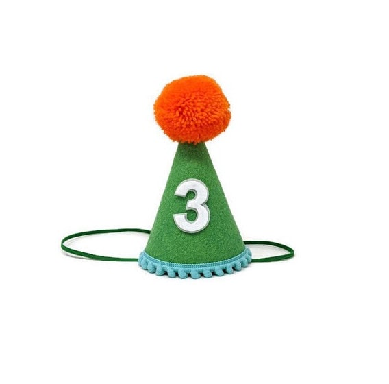 Nickelodeon Birthday Party Hat, Slime Birthday Party Hat, Boys birthday, Girls Birthday, Little Blue Olive, Nickelodeon Slime Party