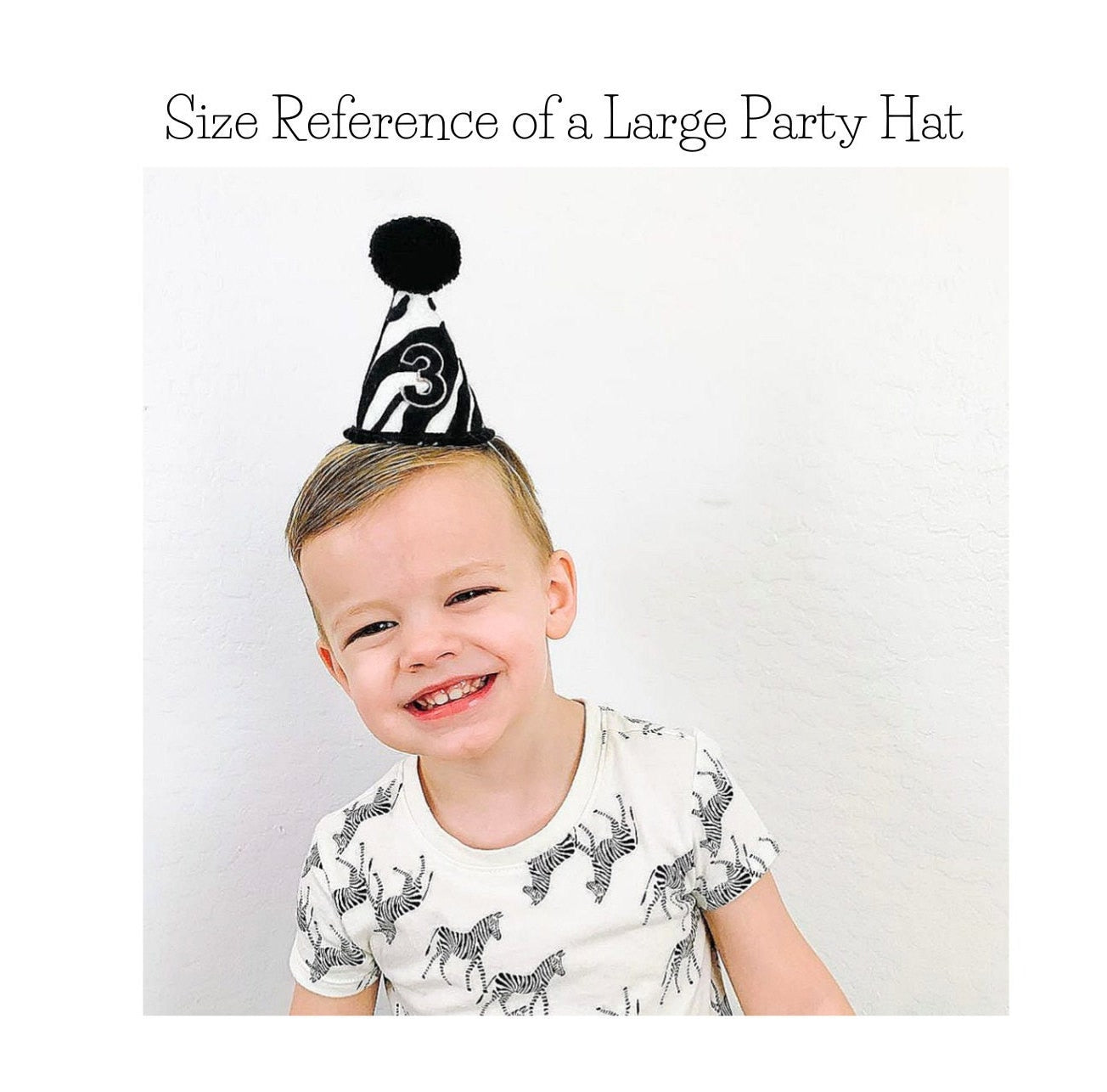 Airplane Party Hat