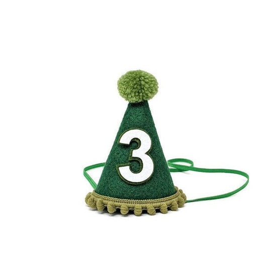 Green Birthday Party Hat, Birthday Party Hat, Boys first birthday, Green and Moss Party Hat, Little Blue Olive, Felt Party Hat