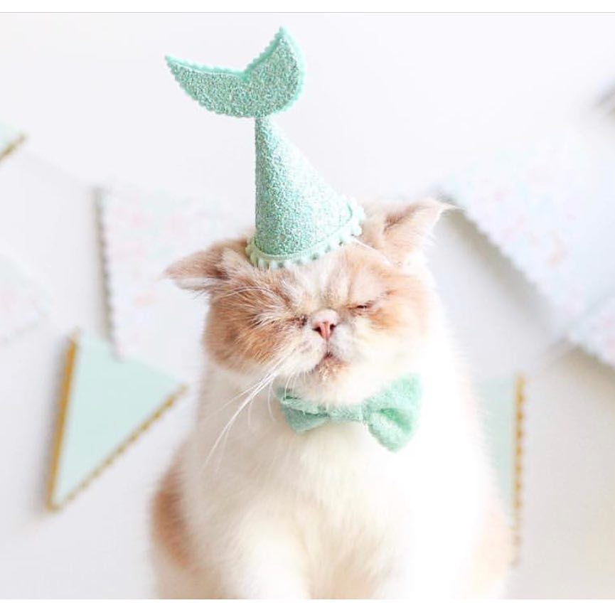 Mint Mermaid Party Hat